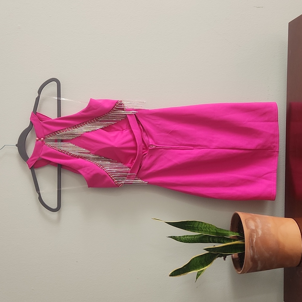 Fushia Gemstone Back Dress💕